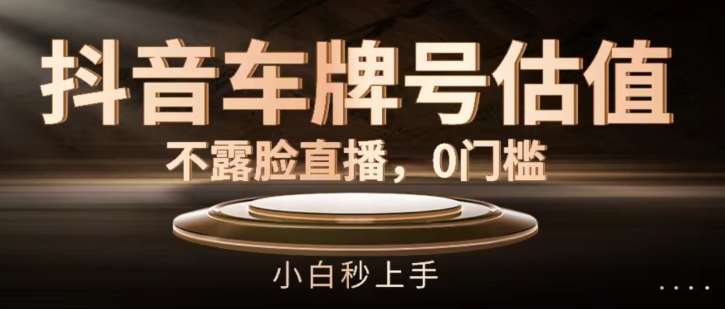 抖音车牌号估值，不露脸直播，0门槛，小白秒上手【揭秘】-赛德副业库