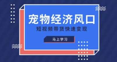 宠物赛道快速变现精品课，宠物经济风口，短视频带货快速变现-赛德副业库