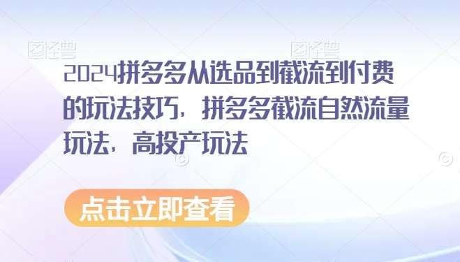 2024拼多多从选品到截流到付费的玩法技巧，拼多多截流自然流量玩法，高投产玩法-赛德副业库