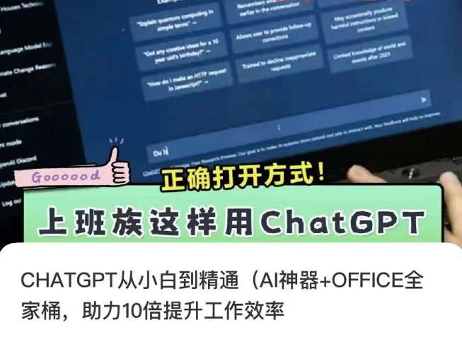 CHATGPT从小白到精通,AI神器+OFFICE全家桶,助力10倍提升工作效率-赛德副业库