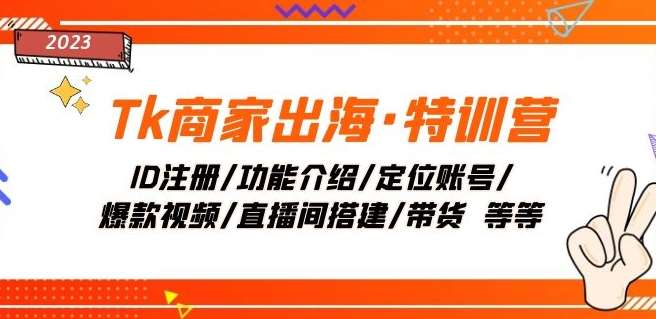 Tk商家出海·特训营：ID注册/功能介绍/定位账号/爆款视频/直播间搭建/带货-赛德副业库