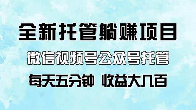 （14425期）全新托管躺赚项目，微信视频号公众号托管代运营，每天五分钟，收益大几百-赛德副业库