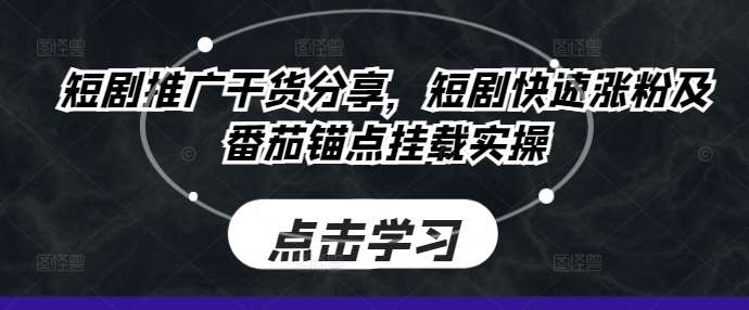 短剧推广干货分享，短剧快速涨粉及番茄锚点挂载实操-赛德副业库