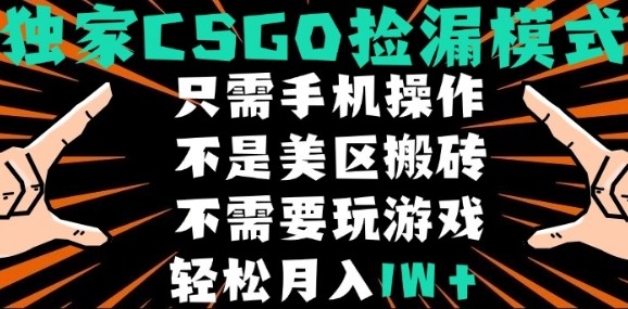 CSGO自动捡漏项目,最新独家玩法,不是美区搬砖,不需要了解和玩游戏,新手小白轻松月入1W+【揭秘】-赛德副业库