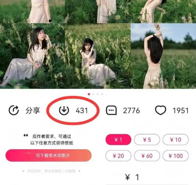图片[2]-最新图虫搬运项目，收益无上限，利用AI小白也可日赚500+-赛德副业库