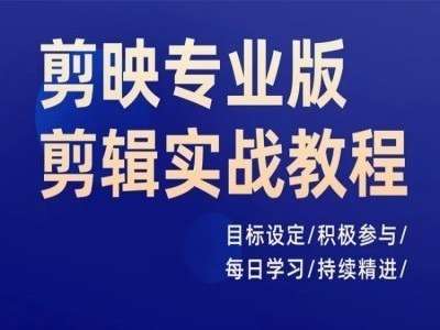 剪映专业版剪辑实战教程，目标设定/积极参与/每日学习/持续精进-赛德副业库