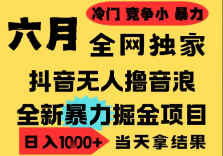 25年6月高爆抖音无人直播最新撸音浪掘金项目,小白可做,无脑日入1k+,门槛低可批量矩阵【揭秘】-赛德副业库