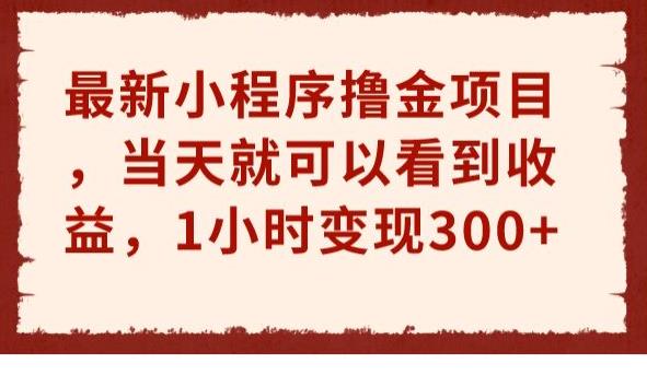 最新小程序撸金项目，当天就可以看到收益，1小时变现300+【揭秘】-赛德副业库