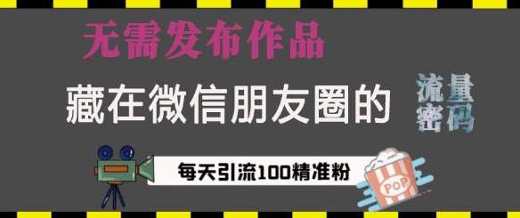 藏在微信朋友圈的流量密码，无需发布作品，单日引流100+精准创业粉【揭秘】-赛德副业库