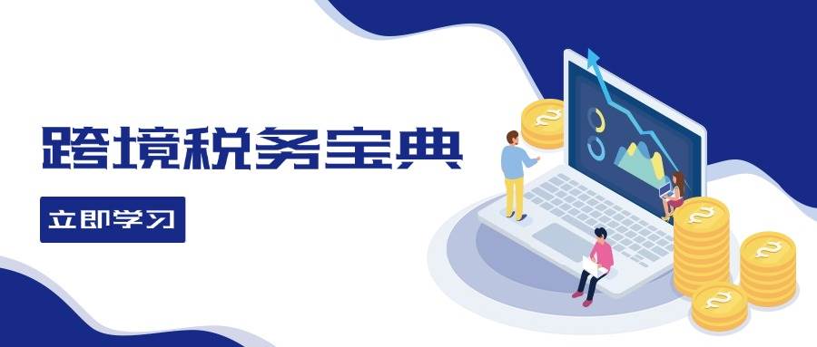 （12544期）跨境税务宝典教程：跨境电商全球税务处理策略-赛德副业库