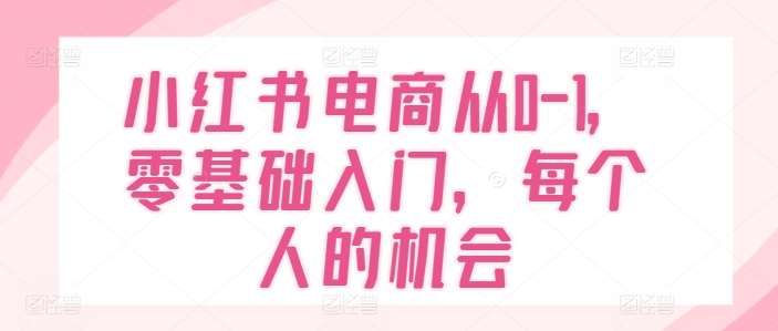 小红书电商从0-1，零基础入门，每个人的机会-赛德副业库