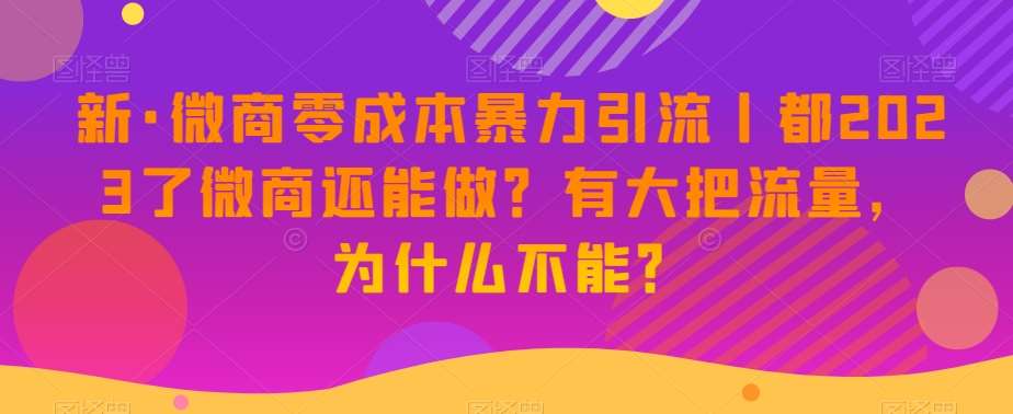 新·微商零成本暴力引流丨都2023了微商还能做?有大把流量,为什么不能?-赛德副业库