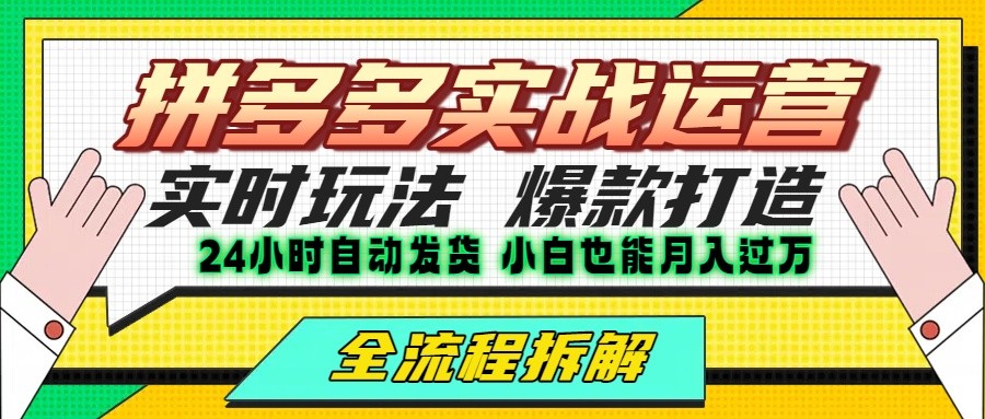 拼多多最新实战运营高投产:长久稳定项目,单店利润一天三位数-赛德副业库
