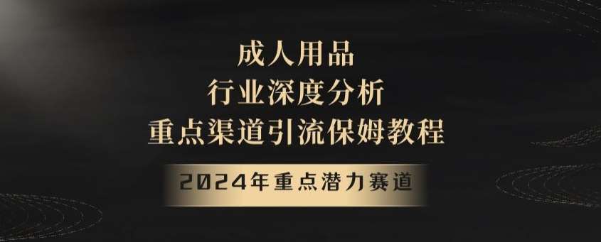 2024年重点潜力赛道，成人用品行业深度分析，重点渠道引流保姆教程【揭秘】-赛德副业库