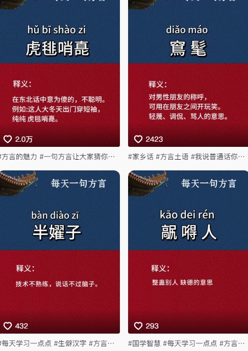 图片[2]-抖音最新涨粉玩法，图文方言暴力涨粉实操，126作品涨粉11W-赛德副业库