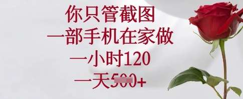 你只管截图，一部手机在家做，一小时120.一天5张【揭秘】-赛德副业库