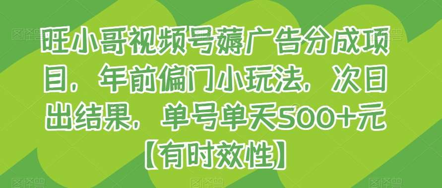 旺小哥视频号薅广告分成项目，年前偏门小玩法，次日出结果，单号单天500+元【有时效性】-赛德副业库