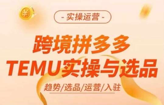 跨境拼多多TEMU实操与选品，多多temu跨境选品运营实操-赛德副业库
