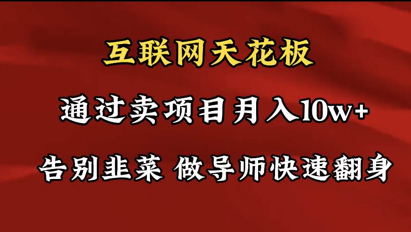 （9201期）导师训练营互联网的天花板，让你告别韭菜，通过卖项目月入10w+，一定要…-赛德副业库