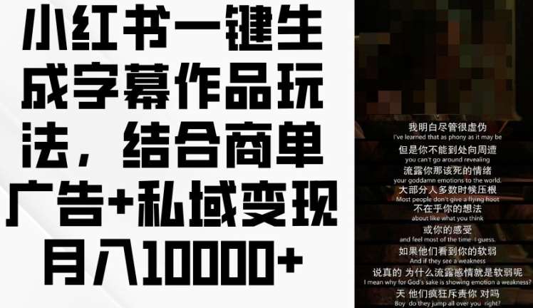 小红书一键生成字幕作品玩法，结合商单广告+私域变现月入1w+【揭秘】-赛德副业库