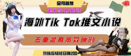 海外tiktok小说推文暴力项目,高停留率,高转化率,上手后一天搞顿饭钱不是问题-赛德副业库