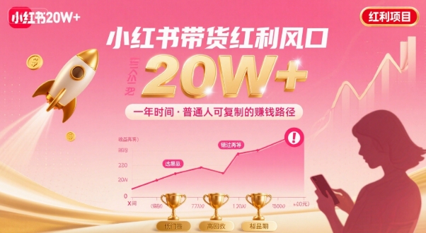 一年时间靠小红书带货项目年入20w+,最不能错的大红利项目-赛德副业库