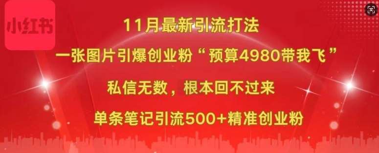 小红书11月最新图片打粉，一张图片引爆创业粉，“预算4980带我飞”，单条引流500+精准创业粉-赛德副业库