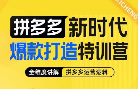 玺承·拼多多新时代爆款打造特训营，全维度讲解拼多多运营逻辑-赛德副业库
