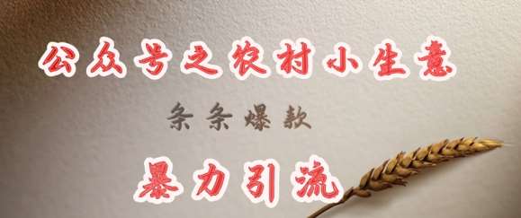 deepseek写农村小项目，条条爆款，暴力引流-赛德副业库