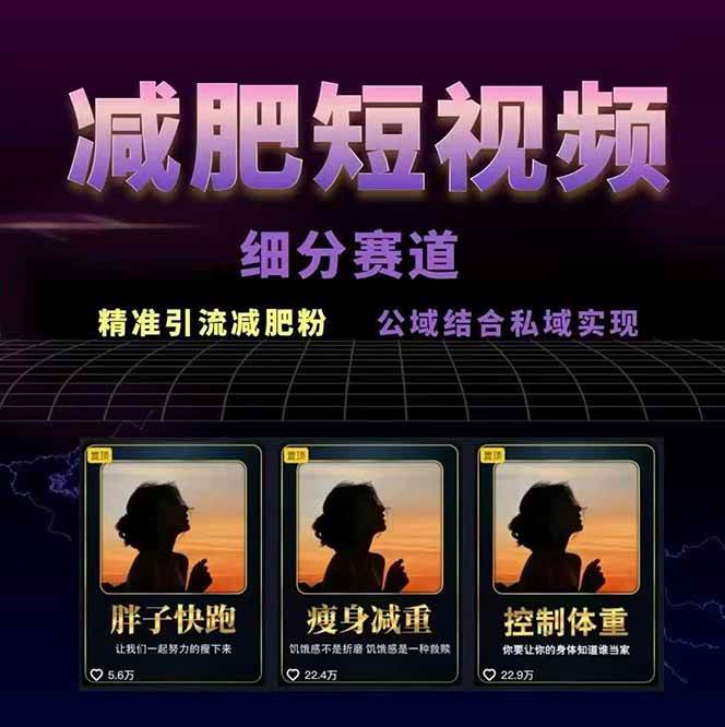 图片[2]-减肥短视频运营实战课：含素材制作、剪映教学，讲精准引流、变现设计与内容模板技巧-赛德副业库