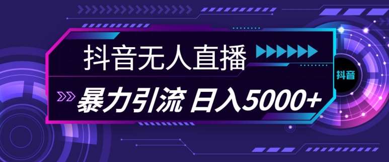 抖音快手视频号全平台通用无人直播引流法，利用图片模板和语音话术，暴力日引流100+创业粉【揭秘】-赛德副业库