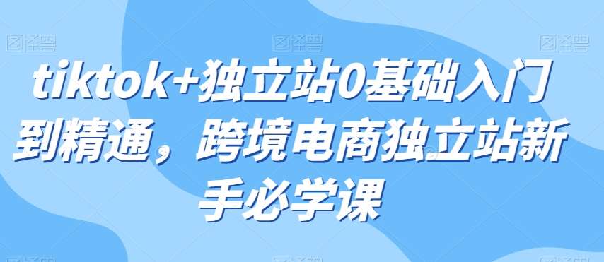tiktok+独立站0基础入门到精通，跨境电商独立站新手必学课-赛德副业库