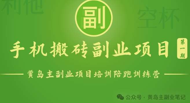 手机搬砖小副业项目训练营1.0，实测1小时收益50+，一部手机轻松日入100+-赛德副业库