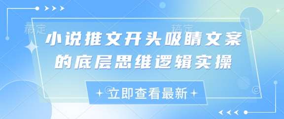 小说推文开头吸睛文案的底层思维逻辑实操-赛德副业库