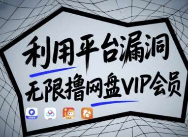 利用平台漏洞,无限撸网盘VIP会员,用户亲测有效!【漏洞原理+操作演示】-赛德副业库