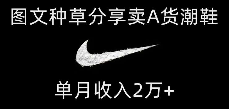 靠图文种草分享卖A货潮鞋，每天一小时，单月收入2万+【揭秘】-赛德副业库