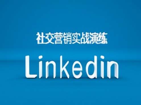 社交营销实战演练之Linkedin营销课程，B2B跨境外贸的新出路-赛德副业库