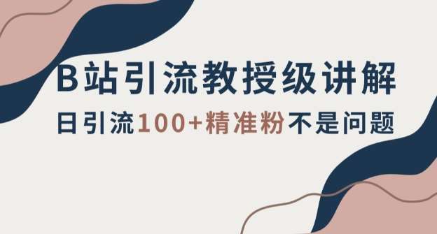 B站引流教授级讲解，细节满满，日引流100+精准粉不是问题【揭秘】-赛德副业库