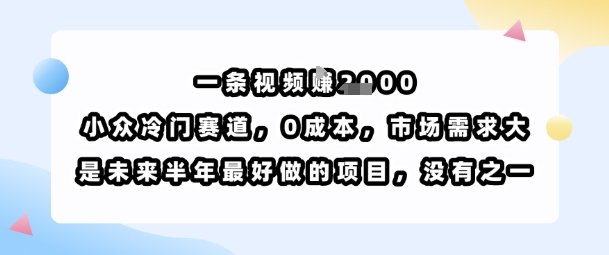 一条视频挣1k，小众冷门赛道，0成本，市场需求大，是未来半年最好做的项目，没有之一-赛德副业库