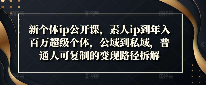 新个体ip公开课，素人ip到年入百万超级个体，公域到私域，普通人可复制的变现路径拆解-赛德副业库