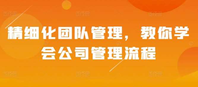 精细化团队管理,教你学会公司管理流程-赛德副业库