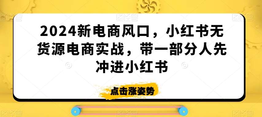 2024新电商风口，小红书无货源电商实战，带一部分人先冲进小红书-赛德副业库