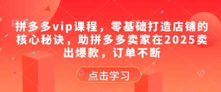 拼多多vip课程，零基础打造店铺的核心秘诀，助拼多多卖家在2025卖出爆款，订单不断-赛德副业库