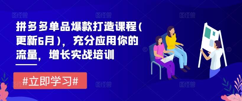 拼多多单品爆款打造课程(更新6月)，充分应用你的流量，增长实战培训-赛德副业库