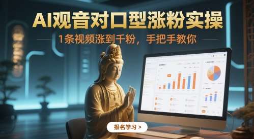 AI观音对口型涨粉实操,1条视频涨到千粉,手把手教你-赛德副业库
