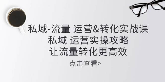 私域流量运营&转化实操课：私域运营实操攻略，让流量转化更高效-赛德副业库