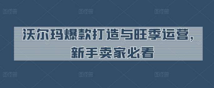 沃尔玛爆款打造与旺季运营，新手卖家必看-赛德副业库
