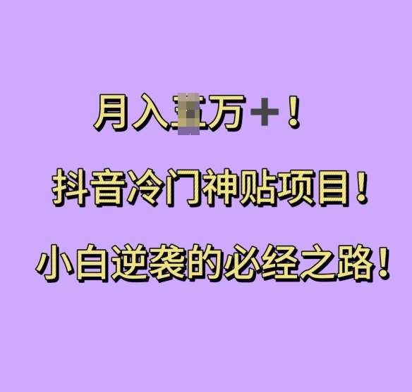 抖音冷门神贴项目，小白逆袭的必经之路，月入过W【揭秘】-赛德副业库