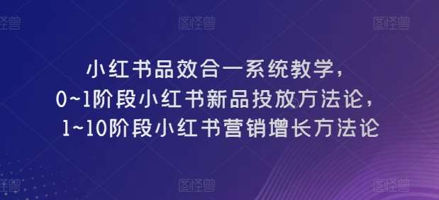 小红书品效合一系统教学，​0~1阶段小红书新品投放方法论，​1~10阶段小红书营销增长方法论-赛德副业库