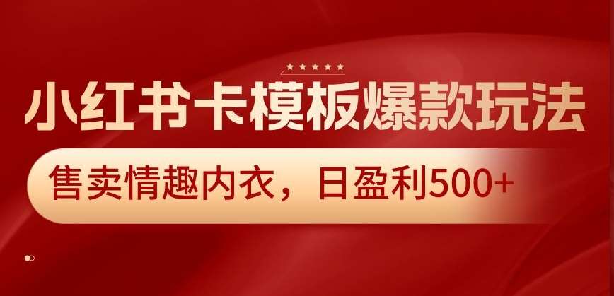 小红书卡模板爆款玩法，售卖情趣内衣，日盈利500+【揭秘】-赛德副业库